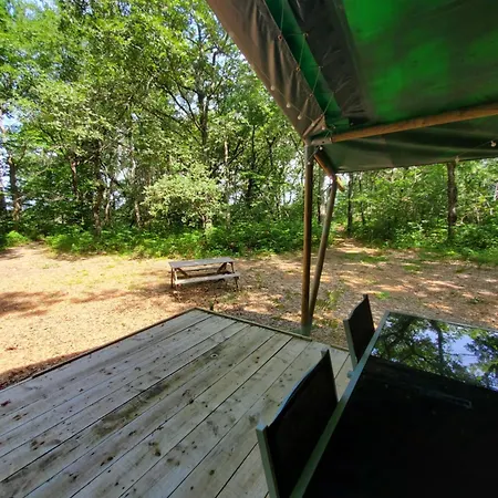 Tente Des Bois